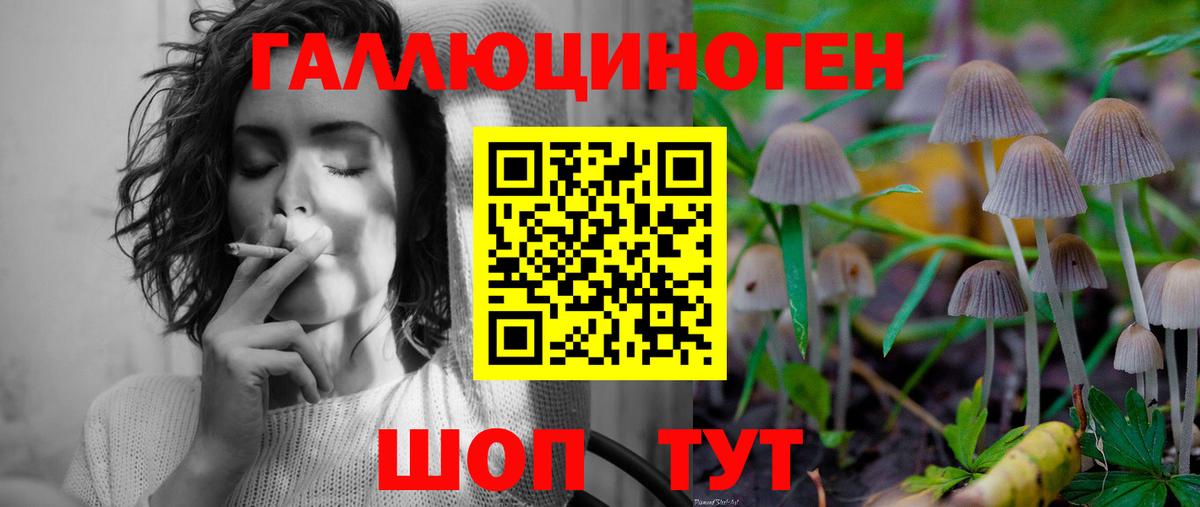Галлюциногенные грибы мицелий Тихвин